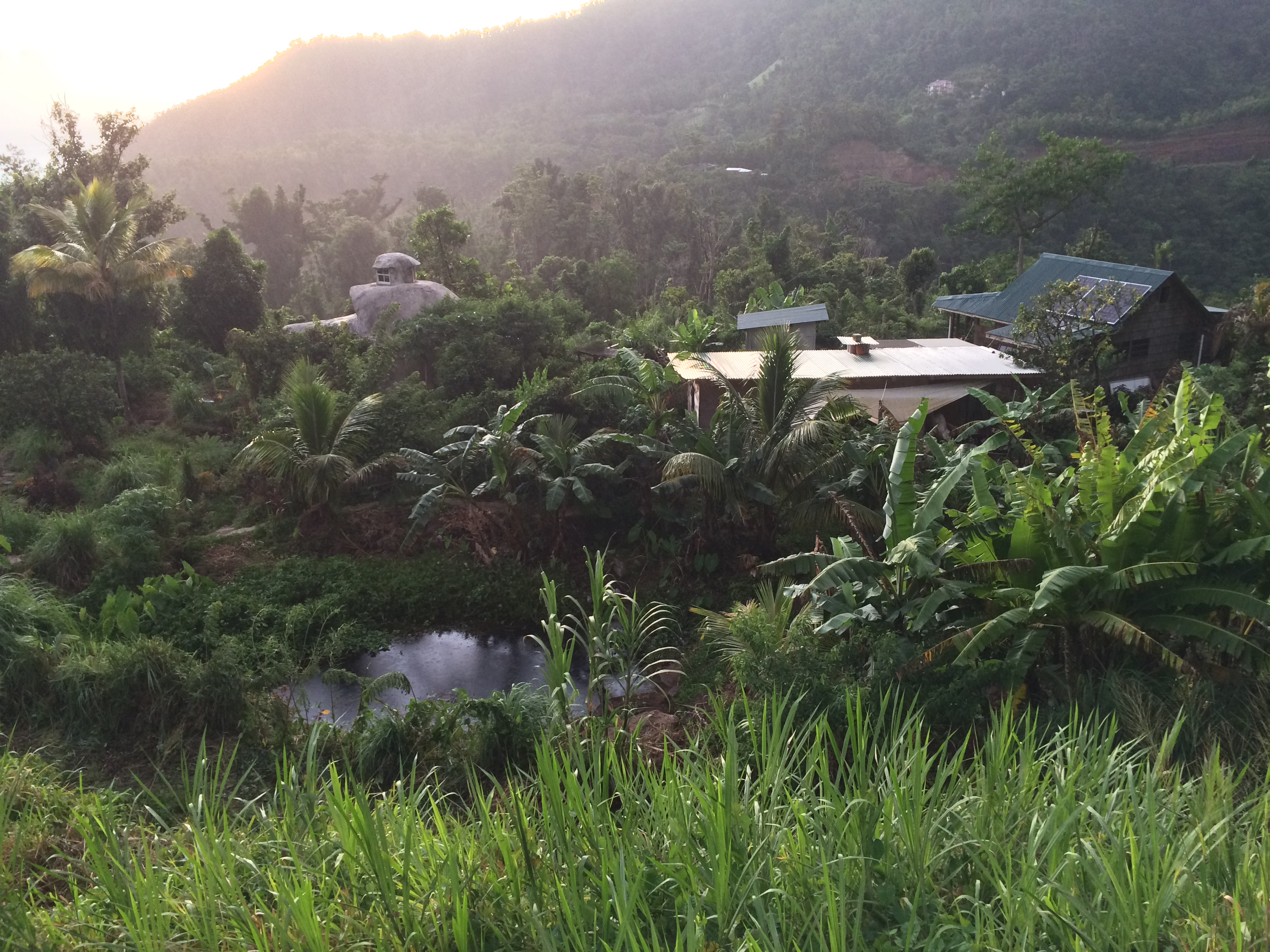 A beautiful farm-stay aerial shot in Dominica mountains